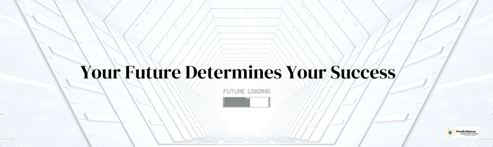 Your Future Determines Your Success ProBrilliance